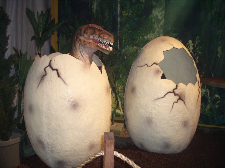 dinosaur egg